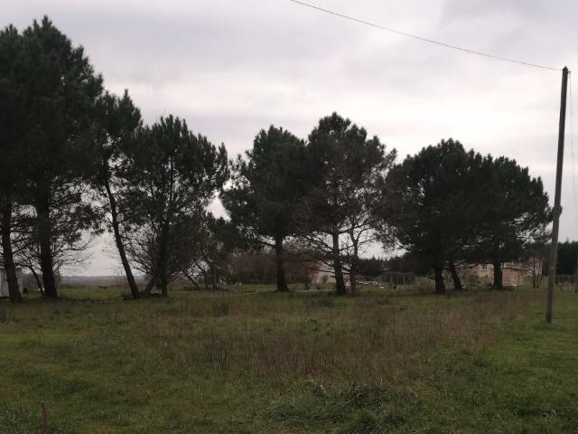 Terrain vente à France métropolitaine, Arsac