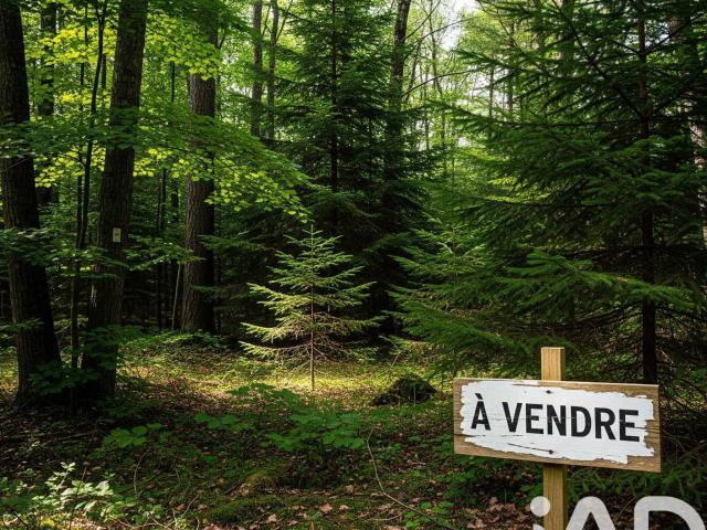 Terrain vente à Lesparre-Médoc, Arsac