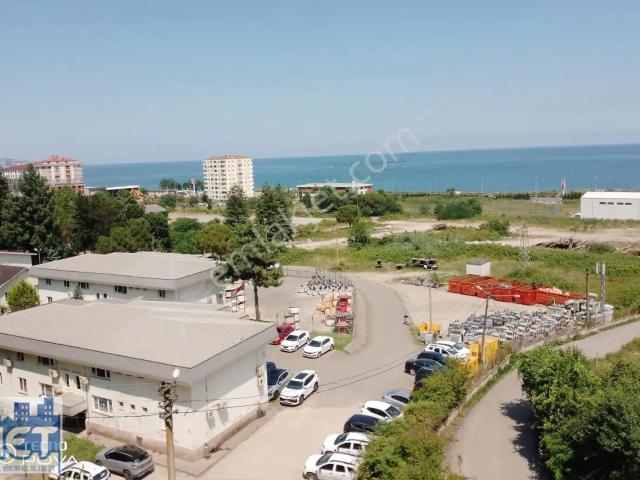 Arsin, Trabzon içerisinde satılık mülk