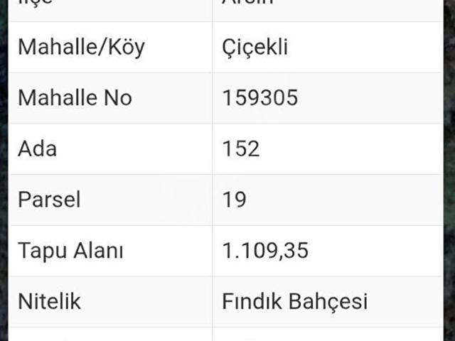 Çiçekli, Arsin içerisinde satılık mülk