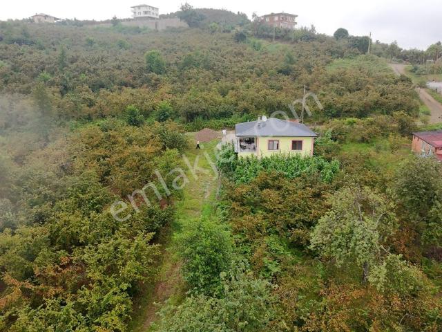 Arsin, Trabzon içerisinde satılık Bahce kati