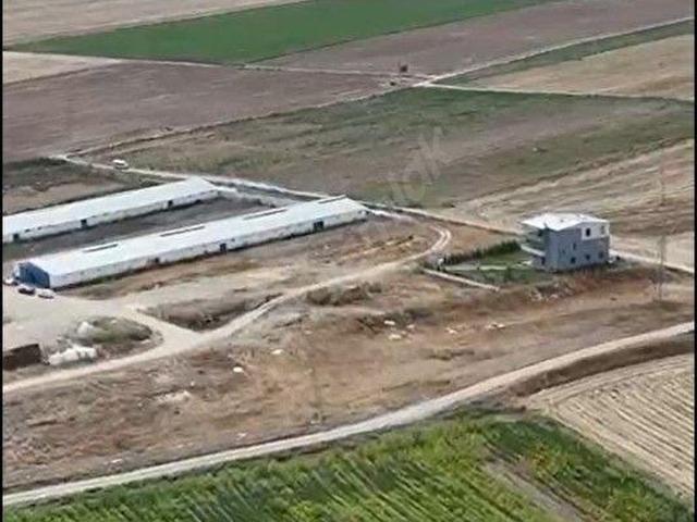 Fevziye, Alpu içerisinde satılık Fabrika