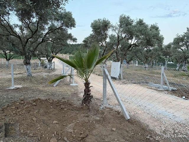 Torbali, İzmir içerisinde satılık mülk