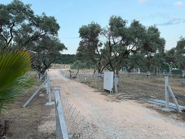 Torbali, İzmir içerisinde satılık mülk