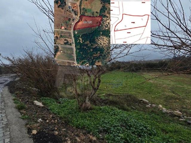 Hatay içerisinde satılık Arsa