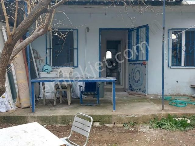 Bornova, İzmir içerisinde kiralık mülk