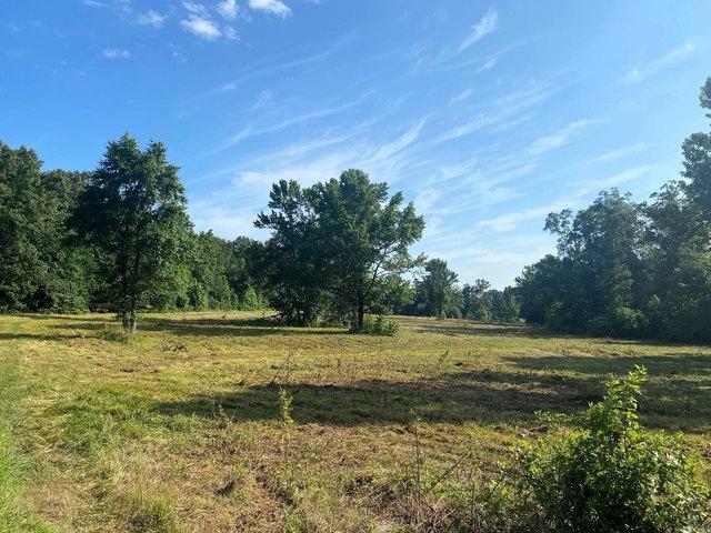 Land for sale in Ark
