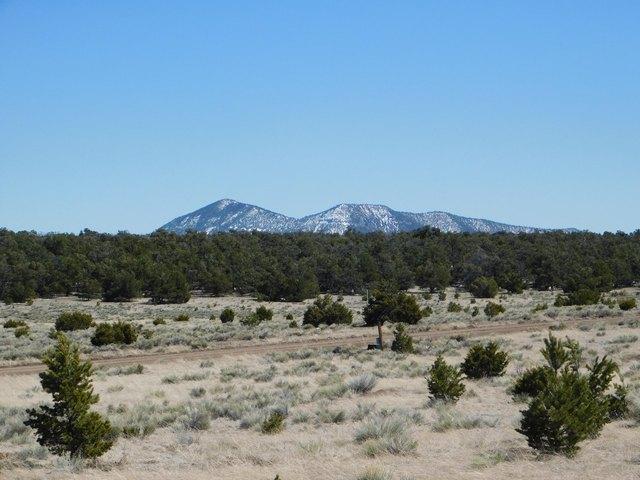 Land for sale in Catron, New Mexico