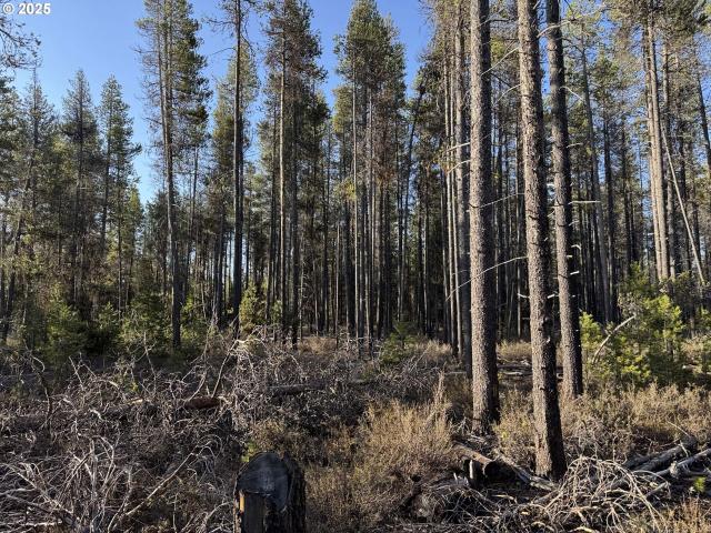 Land for sale in Chiloquin, Klamath County