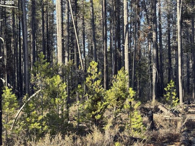 Land for sale in Oregonia