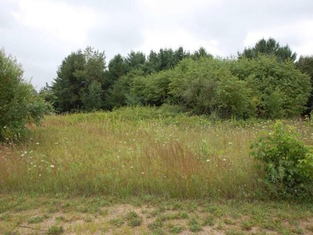 Land for sale in West Branch