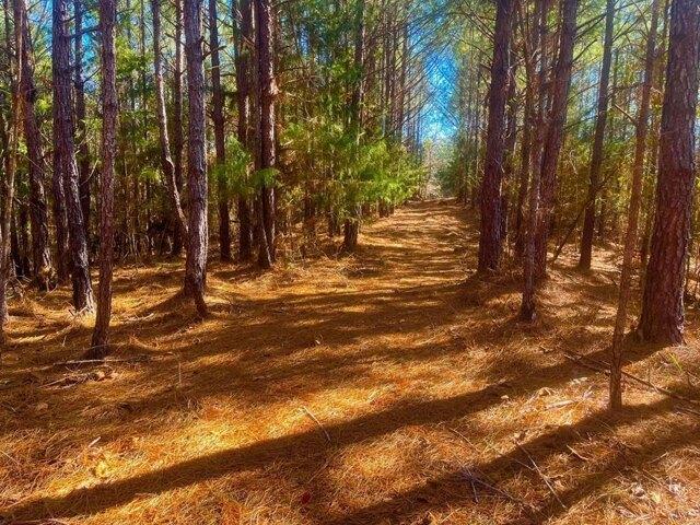 Land for sale in Brookhaven