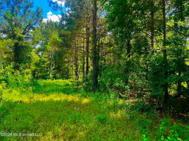 Land for sale in Bogue Chitto, Mississippi