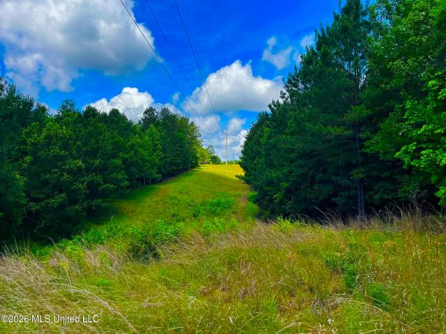 Land for sale in Bogue Chitto, Mississippi