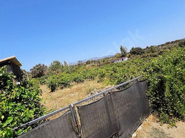 Menderes, İzmir içerisinde satılık Arsa