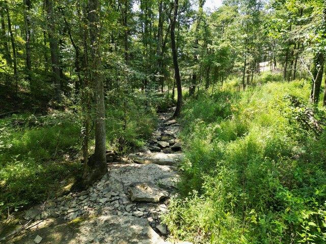Land for sale in Jasper, Alabama