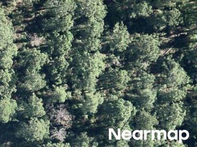 Land for sale in Florida