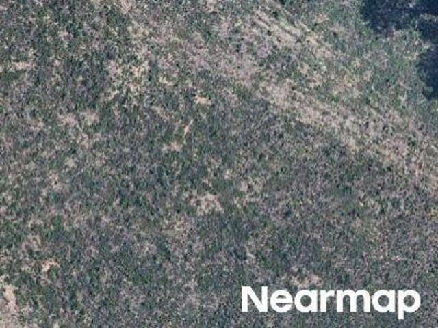 Land for sale in Montverde, Florida