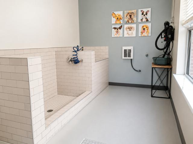 Apartment for rent in Virginia