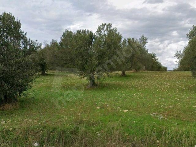 Gömeç, Balikesir içerisinde satılık Arsa