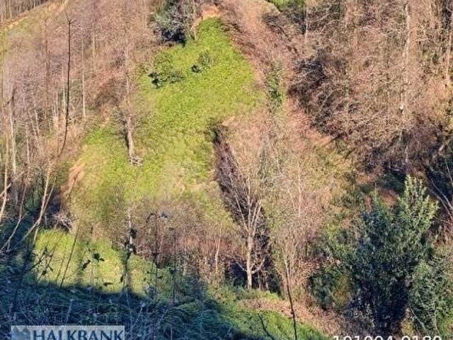 Hopa, Artvin içerisinde satılık Arsa