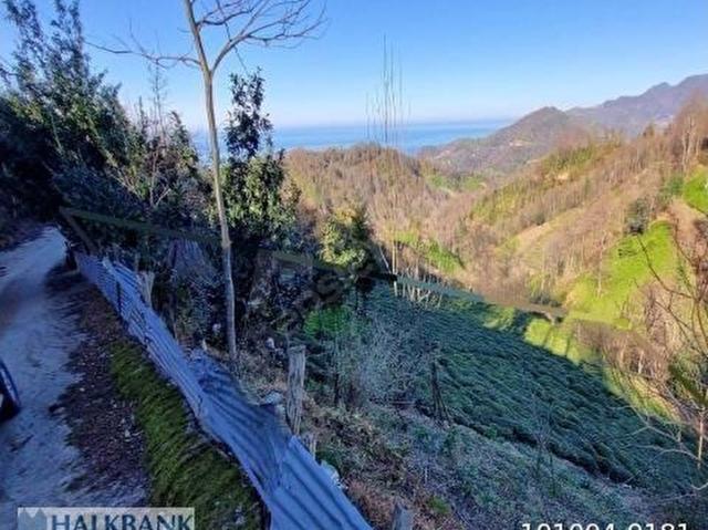 Hopa, Artvin içerisinde satılık Arsa