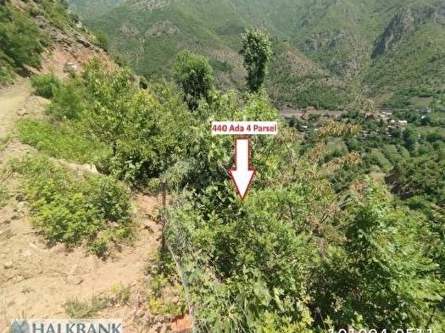 Artvin Merkez, Artvin içerisinde satılık Arsa