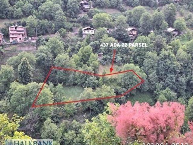 Artvin Merkez, Artvin içerisinde satılık Arsa