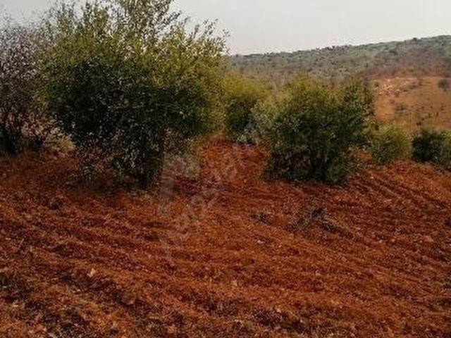 Nizip, Gaziantep içerisinde satılık Arsa