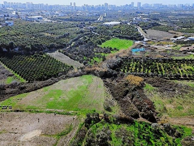 Mezitli, Mersin içerisinde satılık Dükkan