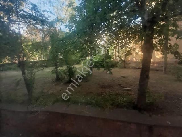 Odunpazari, Eskişehir içerisinde kiralık mülk