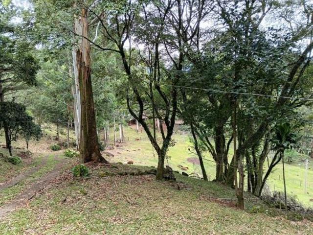 Sítio e chácara venda em Recosta, São Francisco de Paula