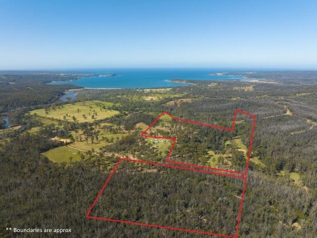 Land for sale in Nethercote, New South Wales