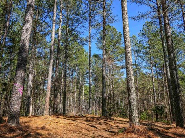Land for sale in Pacolet, South Carolina