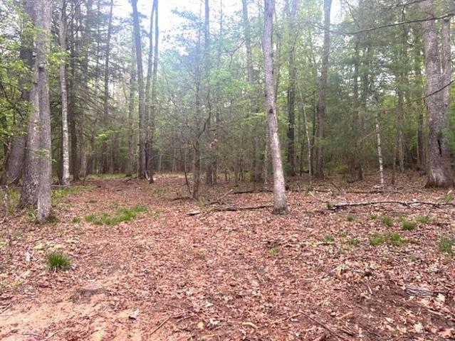Land for sale in Caldwell, West Virginia
