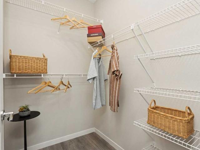 Apartment for rent in Land O Lakes, Florida