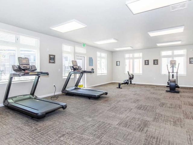 Apartment for rent in Colorado Springs, Colorado