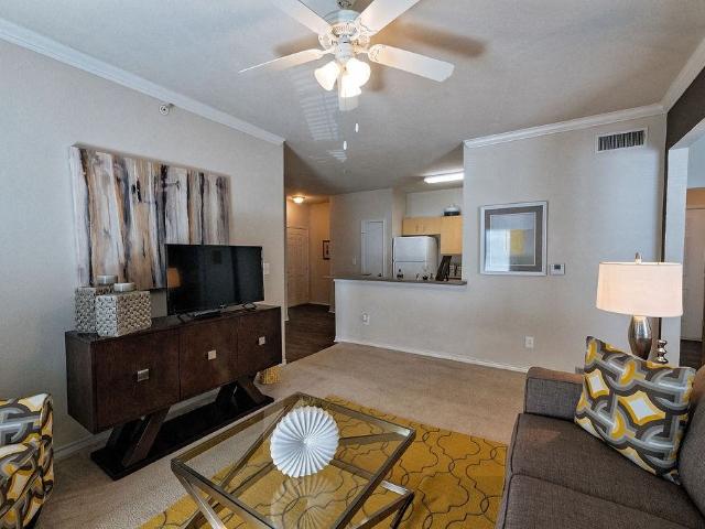 Apartment for rent in Austin, Texas