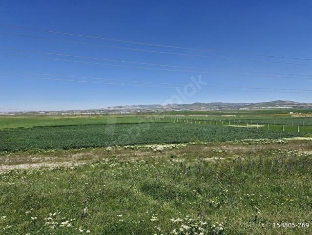 Gölbaşi, Ankara içerisinde satılık Arsa