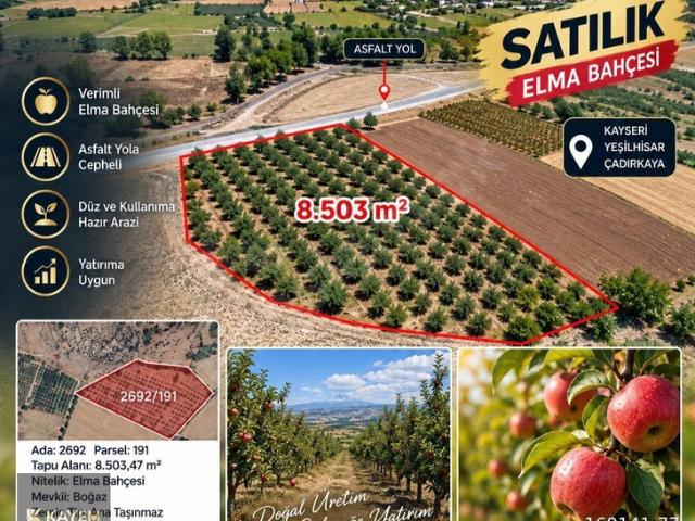 Çayır Tarlası, Yeşilhisar içerisinde satılık mülk