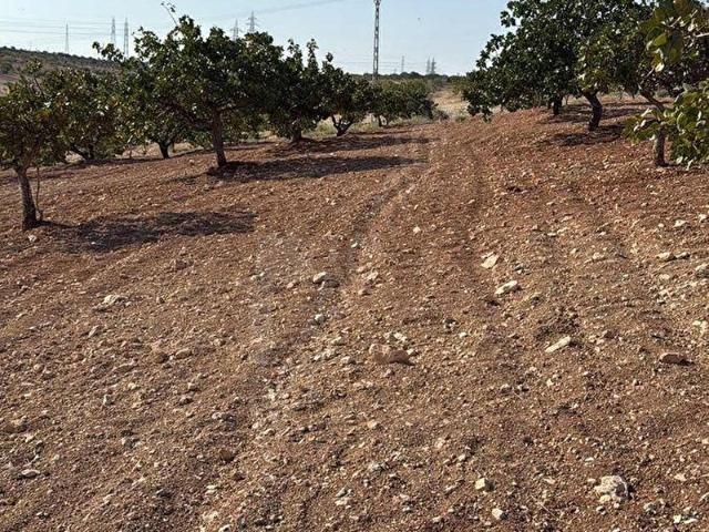 Nizip, Gaziantep içerisinde satılık mülk