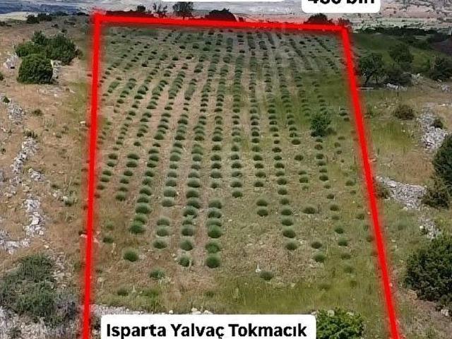 Tokmacık, Yalvaç içerisinde satılık Arsa
