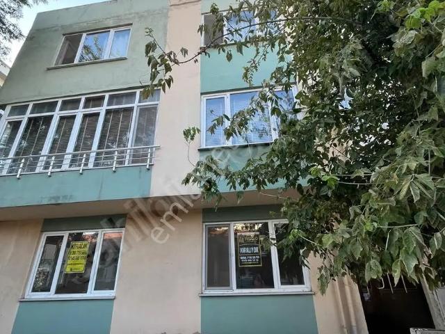 Bandirma, Balikesir içerisinde kiralık mülk