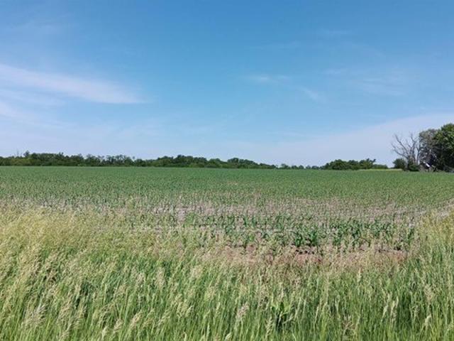 Farm for sale in Batavia, Iowa