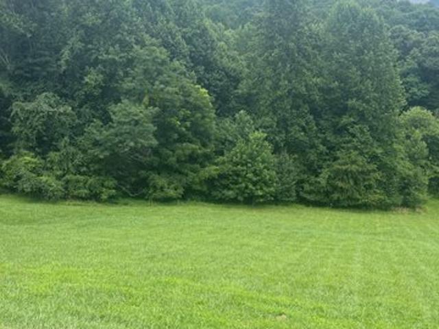 Land for sale in Hayesville, North Carolina