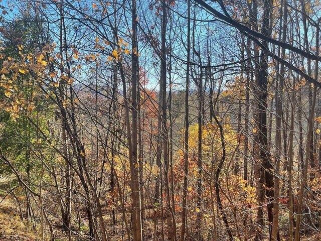 Land for sale in Hayesville
