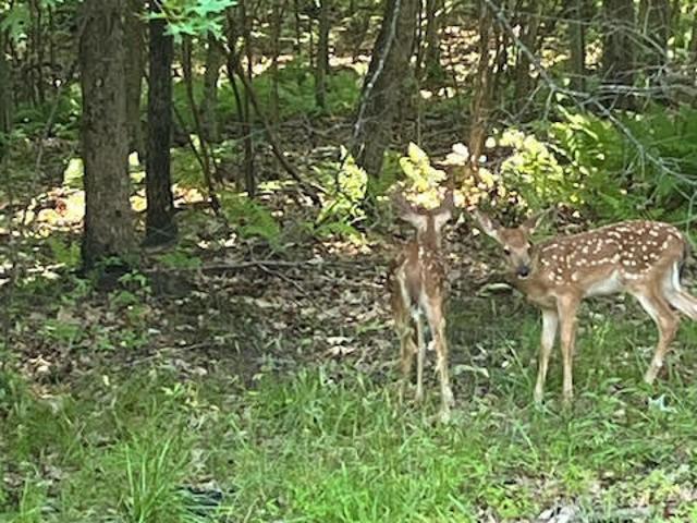 Land for sale in Stillwater Lake Estates, Coolbaugh Township