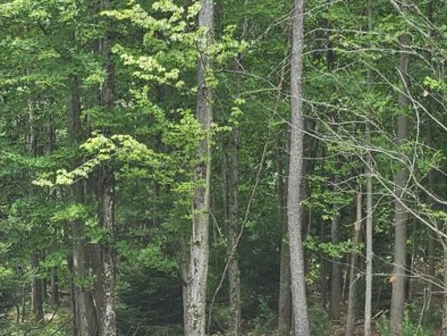 Land for sale in Pocono Summit Land for sale in Pocono Summit