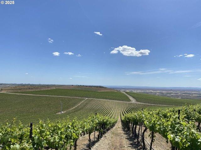 Farm for sale in Mesa, Franklin County