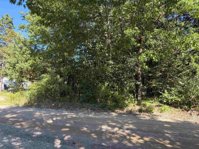 Land for sale in Michigan